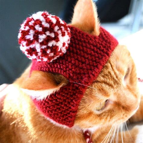 Новости Knitted Cat Crochet Cat Cat Hat