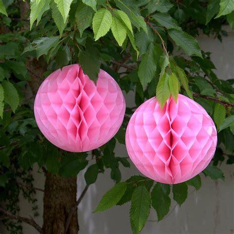 Pink Honeycomb Party Decoration By Ella James
