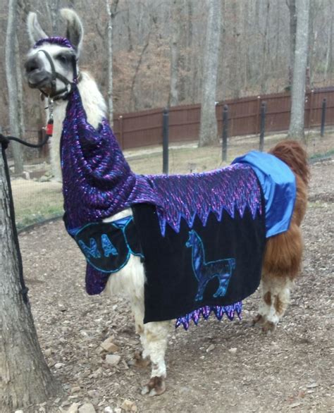 Llama Twist Is Modeling A Glass Bead Costume That I Made To Sellsee
