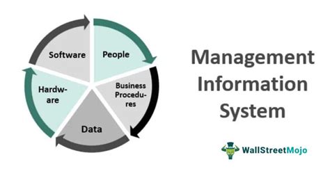 Management Information System Mis Definition Examples