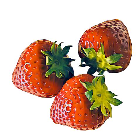 Download Berry Strawberry Nature Royalty Free Stock Illustration Image Pixabay