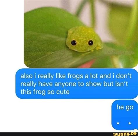 Also I Really Like Frogs A Lot And I Dont Really Have Anyone To Show