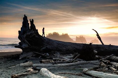 Picture Driftwood Photo Contest Winner