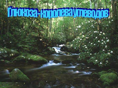 Глюкоза 6 3 диета Глюкоза - королева углеводов - презентация онлайн Глюкоза - королева углеводов - презентация онлайн Глюкоза 6 3 диета