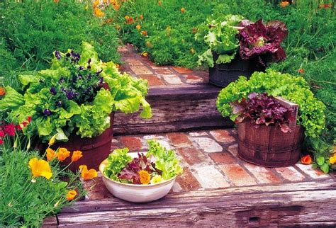 Tips For Winter Container Vegetable Gardening Wrkf