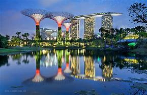 Image result for gardens by the bay, singapore