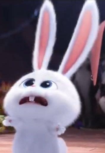 Pin By Betül İncekul On Snowball Cute Bunny Cartoon Cute Bunny Cute