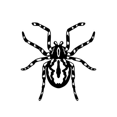 Tarantula Logo Symbol Stencil Design Animal Tattoo Vector
