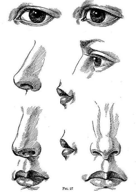 How To Draw Noses By Christopherjohn Nose Drawing Ink Drawing