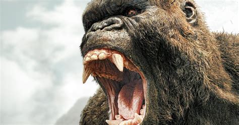 Movie Review ‘kong Is King But Human Characters Suffer A6e