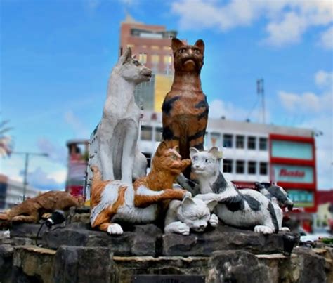 Diadakan di perkarangan dewan suarah kuching bermula jam 9 malam hingga 3 pagi pada setiap hari jumaat dan sabtu setiap minggu merupakan salah satu tempat menarik untuk dilawati pada hujung minggu. Tempat menarik di Kuching, Sarawak (WAJIB Singgah ...