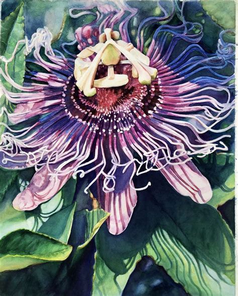 Pin By Beckey On Passion Flowers In 2021 Painting Art Passion Flower