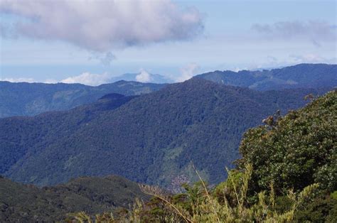 Cerro De Muerte Costa Rica Level 1500 3820 Mts 2011 Flickr