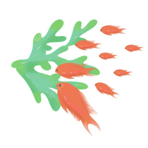 Coral Fish Clipart Hd Png Coral Fish School Coral Fish School Of