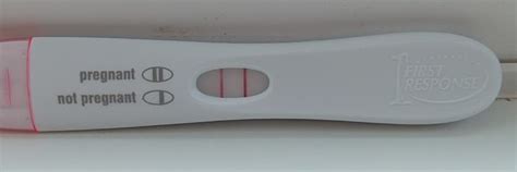 A Comprehensive Guide To Different Types Of Pregnancy Tests Webnews