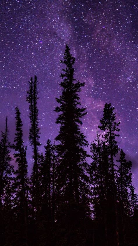 Wallpaper Night, Stars, Trees, Starry Sky