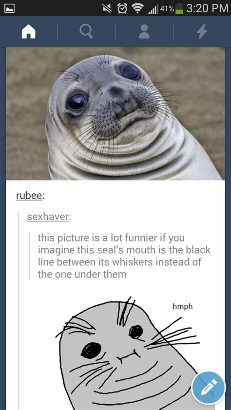 Imgur The Simple Image Sharer Funny Photos Funny Images Funny Seals Bizarro Comic Funny
