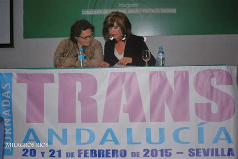 Asociacion De Transexuales De Andalucía Sylvia Rivera Personas Transexuales De Andalucía