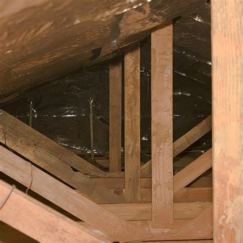 Free inspection and same day service. Pest in Your Attic: 5 Signs There is One, and 8 Ways to ...