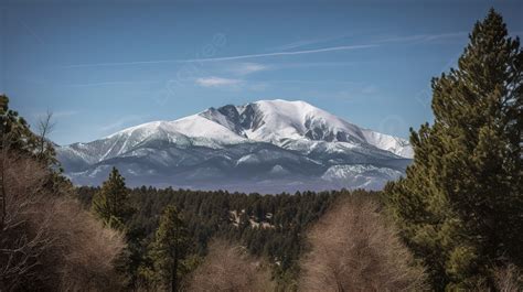 Snow Capped Mountain Can Be Seen From The Trees Background Picture Of