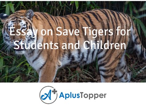Essay On Save Tigers Save Tigers Essay For Students And Children A