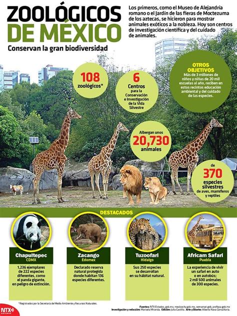 Conoce 4 Importantes Zoológicos De México Los Cuales Brindan