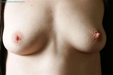 Hard Nipples 2 Picture 4 Uploaded By Mudcebo On