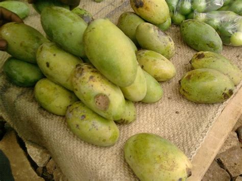 Fruits Tropicaux Du Cameroun And Bonabio La Cameroun Dans Lafrique De L