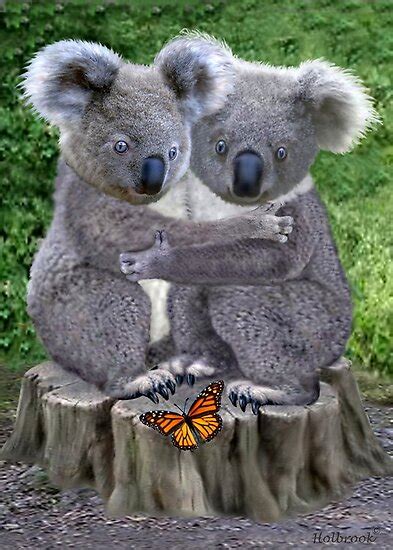 Baby Koala Bear Huggies Poster By Holbrookart Redbubble