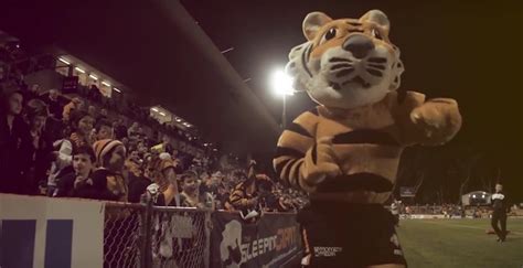 All 16 Nrl Team Mascots Ranked At Last The Spinoff