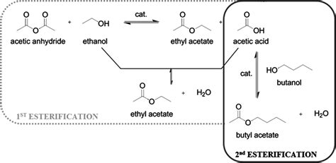 A Novel Process Using Ion Exchange Resins For The Coproduction Of Ethyl