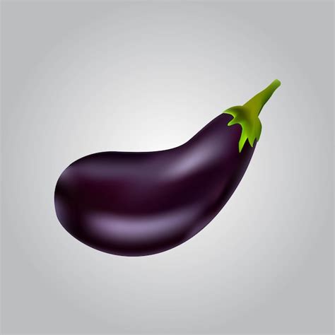 Premium Vector Eggplant Realistic Image Vector Illustration