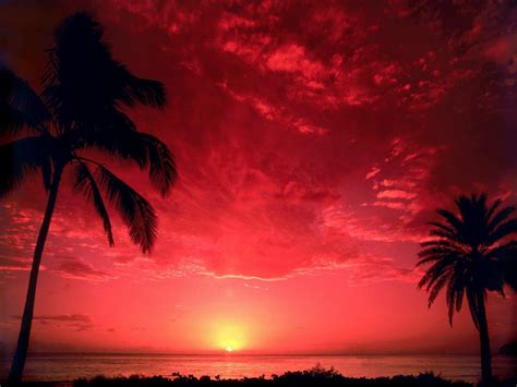 Hd Red Sunset Background Wallpaper Download Free 140484