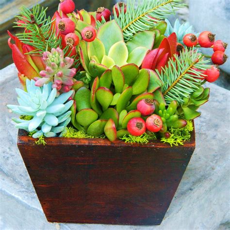 An Arrangement Of Succulents In A Wooden Box
