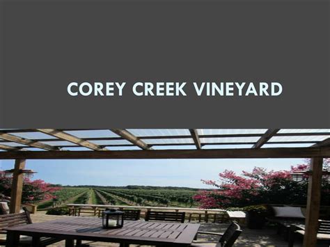 Ppt Corey Creek Vineyard Powerpoint Presentation Free Download Id
