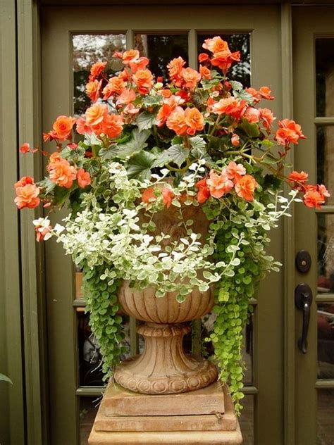 44 Wonderful Summer Container Garden Flower Ideas Page