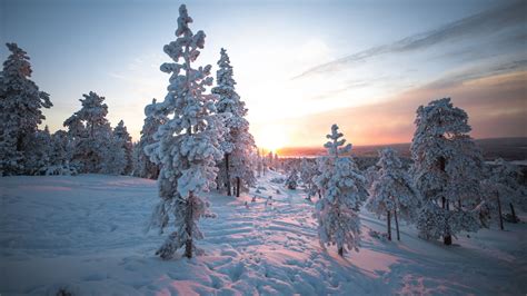 Download Wallpaper 1600x900 Sunset Trees Snow Winter Widescreen 169
