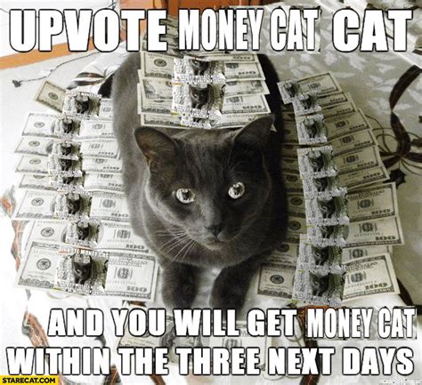 Upvote Money Cat Cat And You Will Get Money Cat In The Next 3 Days