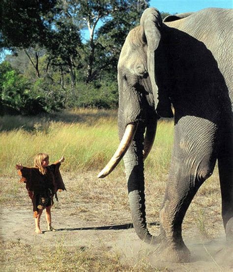 Las mejores fotografías de Tippi Degré la niña de la selva