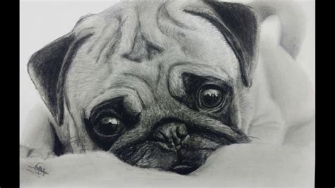 How To Draw A Cute Pug Easy Dog Drawing Tutorial For Beginners Dog