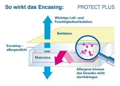 Llll➤ aktueller und unabhängiger encasing test bzw. Encasings (Milbenschutzbezüge) reduzieren Hausstaub ...