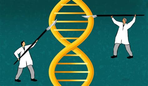 Scientists Create A More Precise Technique To Edit Genomes Of Living