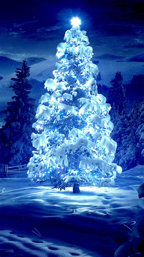 Beautiful Christmas Tree Wallpaper Wallpapersafari