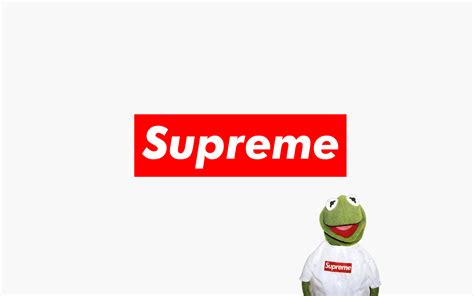 We've gathered more than 5 million images uploaded by our users and sorted them by the most popular ones. Supreme Kermit the Frog Wallpapers - Top Free Supreme ...