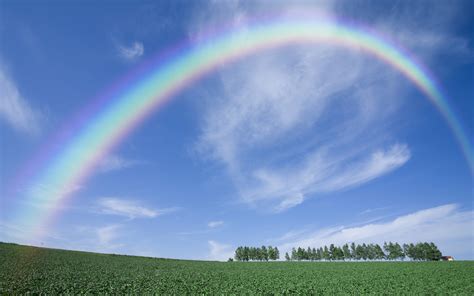 Rainbow Full Hd Wallpaper And Background Image 2560x1600 Id241591