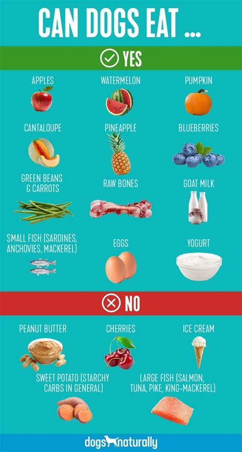 What Fruits Can Dogs Eat A List Of Popular Fruits Dogs Naturally