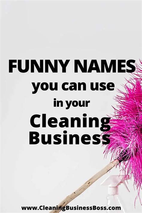 Funny Names You Can Use In Your Cleaning Business Cleaning Business Boss