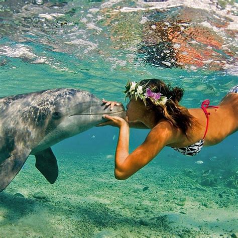 Girl Kissing Dolphin Off The Coast Of Hawaii Freedify