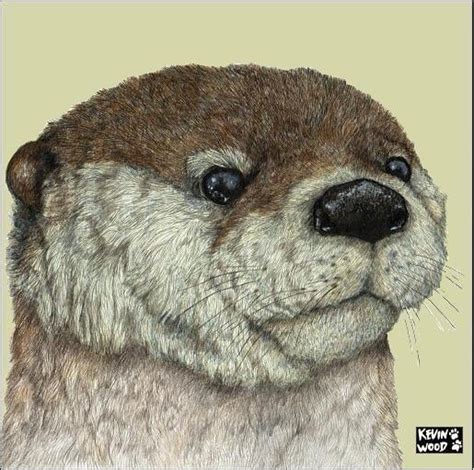 Kevin Wood Designs — Otter Ceramic Coaster By Kevin Wood