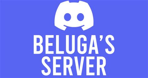 Beluga Discord Server Guiderealm